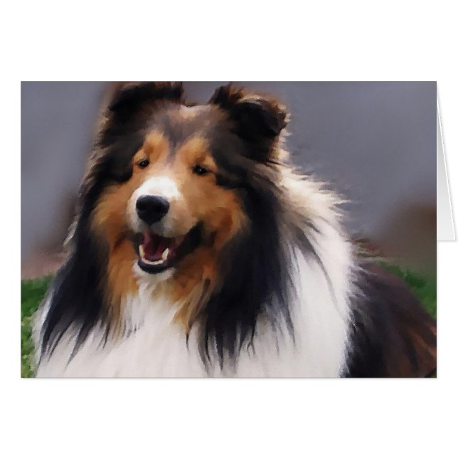 Cartão Shetland Sheepdog Sheltie Gifs (Frente Horizontal)