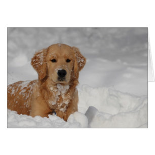 Cartão Shhhh, neve!