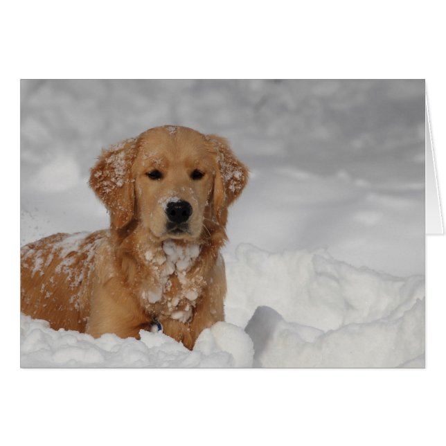 Cartão Shhhh, neve! (Frente Horizontal)