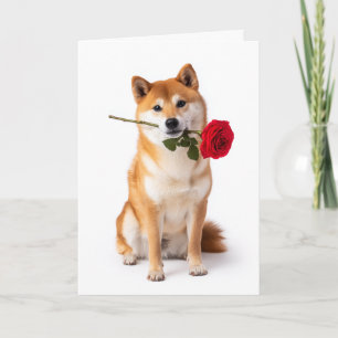 Cartão Shiba Inu no Dia dos Namorados – Devoção Silencios