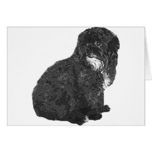 Cartão Shih Poo