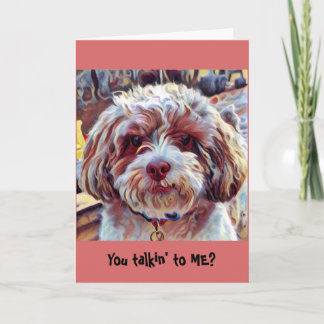 Cartão Shih-Poo Shih Tzu Dog Whimsical Artistic Puppy