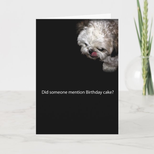Cartão Shih-Tzu Birthday Card (Frente)
