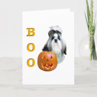 Shih Tzu Boo