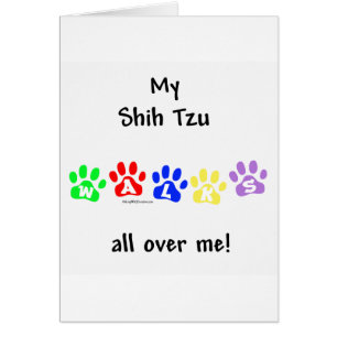 Cartão Shih Tzu Caminha Por Você