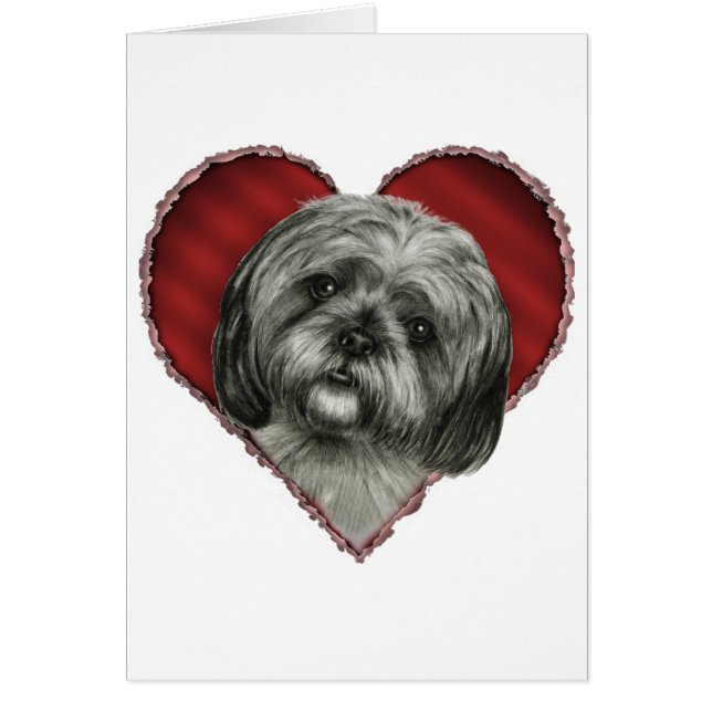 Cartão Shih Tzu com coração (Frente)