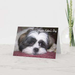Cartão Shih Tzu Dia de os pais