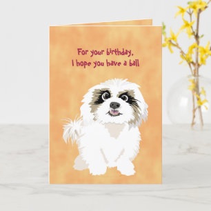 Cartão Shih Tzu Dog Engraçado Aniversário para o Propriet