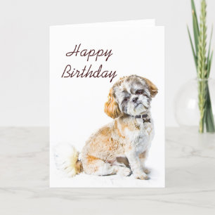 Cartão Shih Tzu Dog Happy Birthday Card