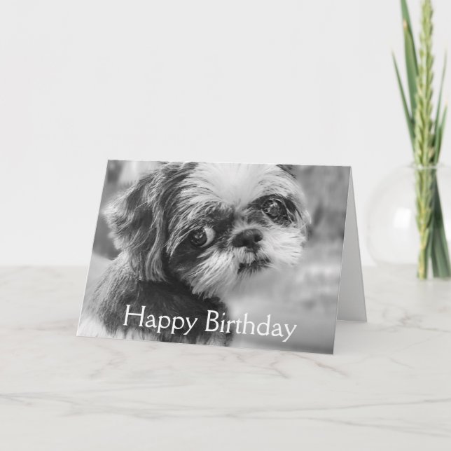 Cartão Shih Tzu Girl Black and White Greeting Card (Frente)