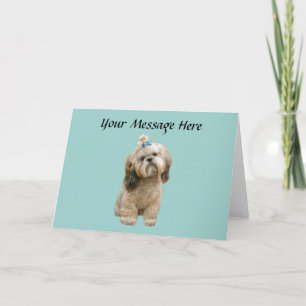 Cartão Shih Tzu Greeting Card