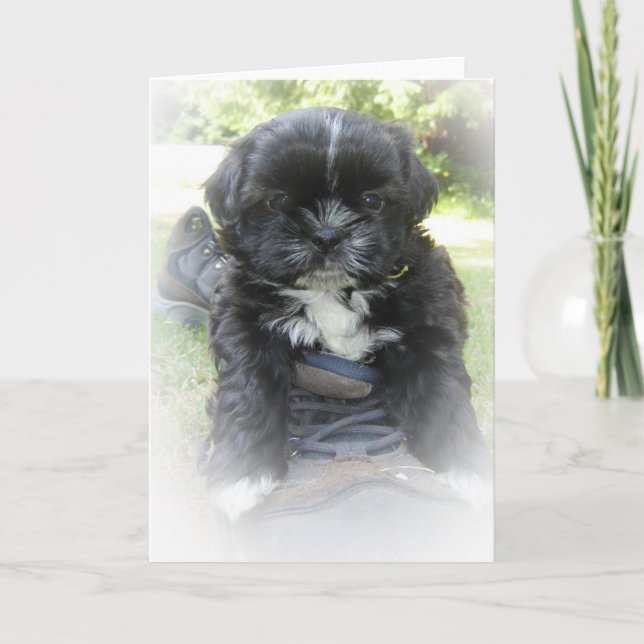 Cartão Shih Tzu Greeting Cards (Frente)