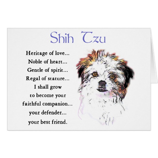 Cartão Shih Tzu Lovers (Frente Horizontal)