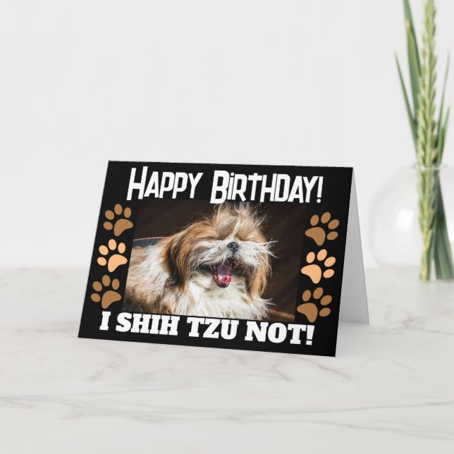 Cartão Shih tzu não está rindo Diversão Feliz aniversário (Frente)