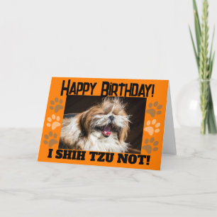 Cartão Shih tzu não está rindo diversão Feliz aniversário