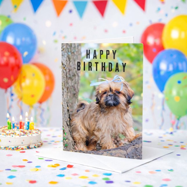 Cartão Shih Tzu Puppy Happy Birthday Card Cute Dog (Happy Birthday Shihtzu Puppy Dog Card)