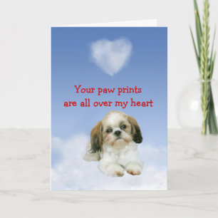 Cartão Shih Tzu Puppy Love Card