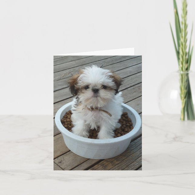Cartão Shih Tzu Puppy Notecards (Frente)