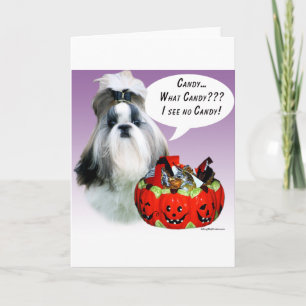 Cartão Shih Tzu (ranzinza) Halloween Candy
