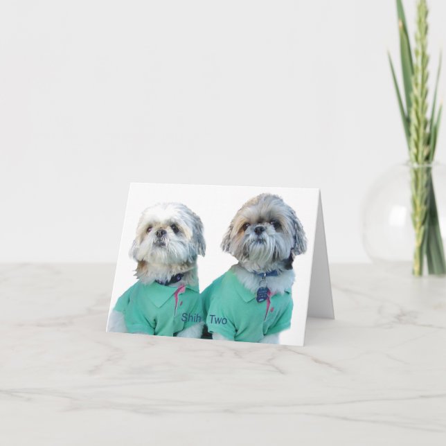 Cartão Shih Tzu -Shih Two Greeting Card (Frente)