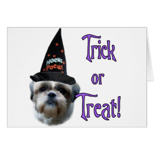 Cartão Shih Tzu Trick