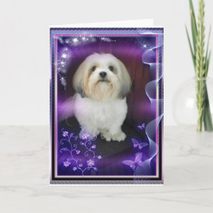Cartão ShihTzu Greeting Card