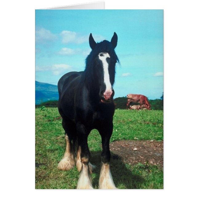 Cartão Shire Permanente (Frente)