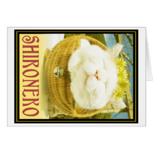 Cartão Shironeko ou gato da cesta