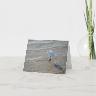 Cartão Shore bird notecard
