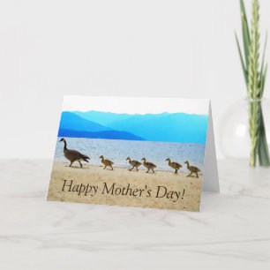 Cartão Shore Patrol Canada Geese