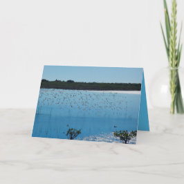 Cartão Shorebirds on the Wing Greeting Card