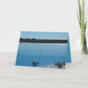 Cartão Shorebirds on the Wing Greeting Card