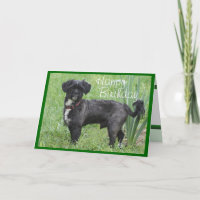 Shorty by Iris-customize any occasion