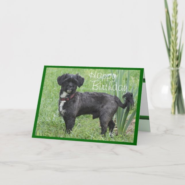 Cartão Shorty by Iris-customize any occasion (Frente)