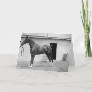 Cartão Show Horse 1911