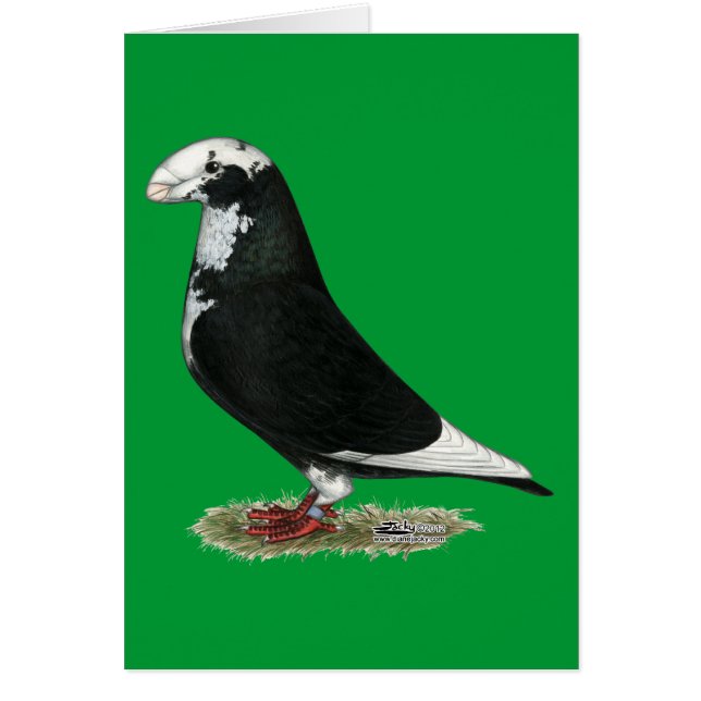 Cartão Show Racer Pied (Frente)