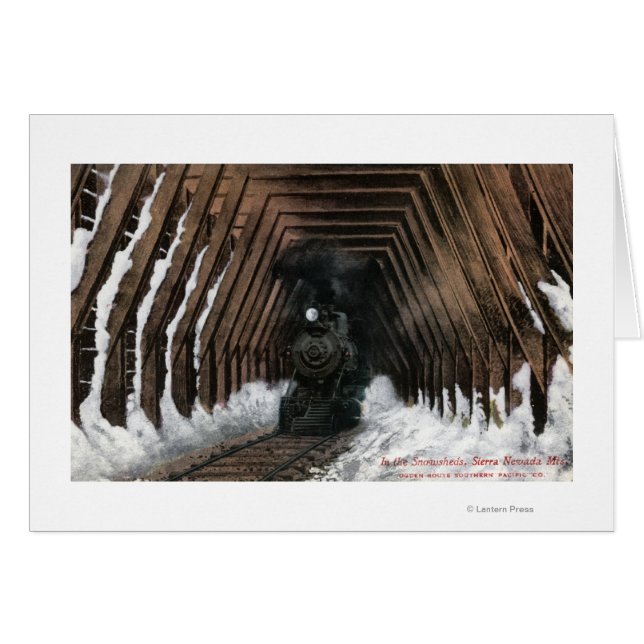 Cartão Showsheds Railroad (Frente Horizontal)