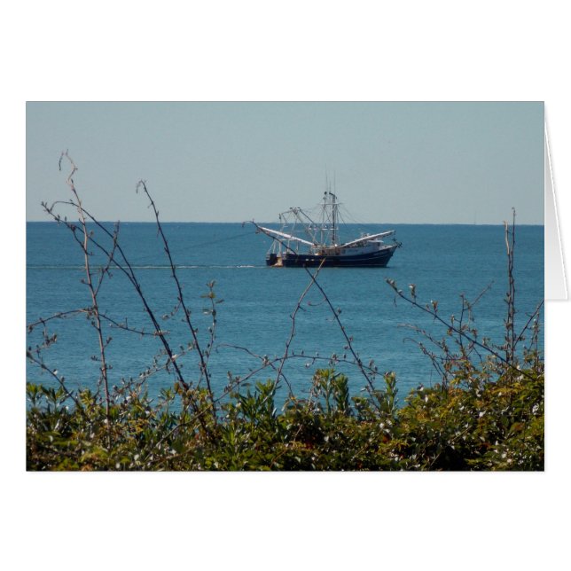 Cartão Shrimp n (Frente horizontal)