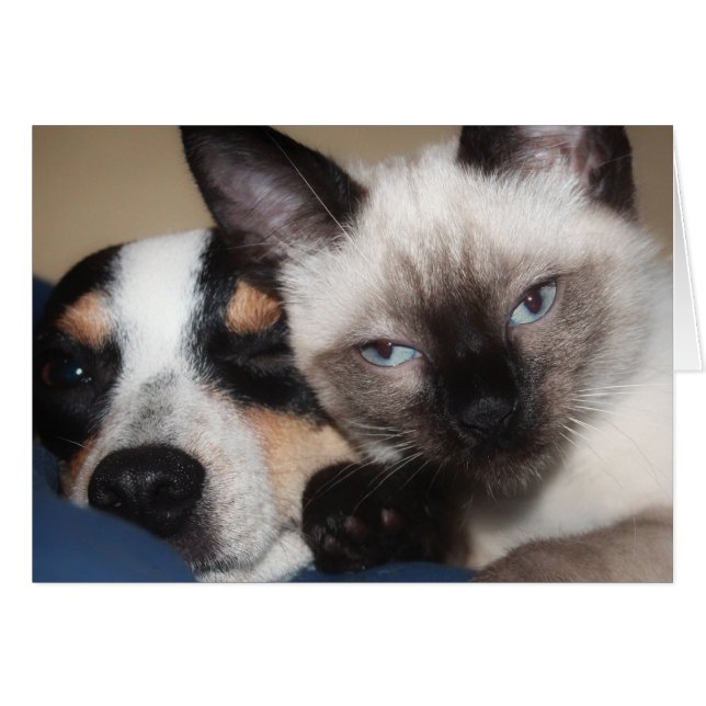 CARTÃO SIAMESE (Frente Horizontal)