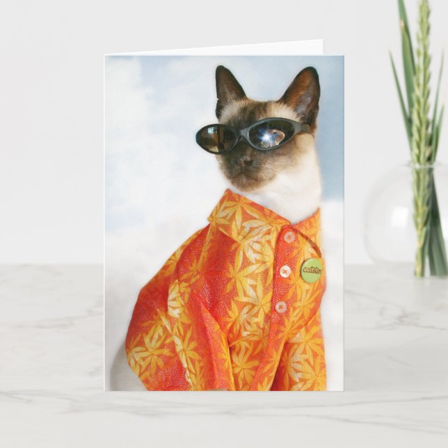 Cartão Siamese Cat in Shades (Frente)