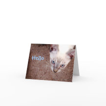 Siamese kitten note card "hello"