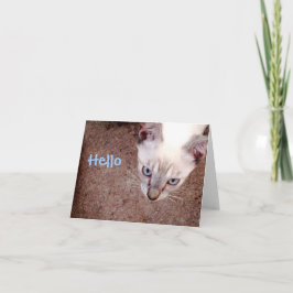 Cartão Siamese kitten note card "hello"