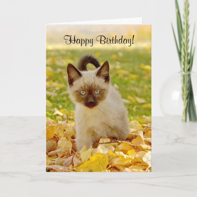 Cartão Siamese-X Kitten Birthday Card (Frente)