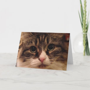Cartão Siberian Cat Close Up Note Card