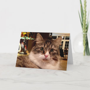 Cartão Siberian Cat Note Card