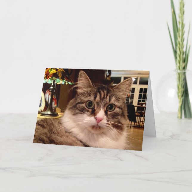 Cartão Siberian Cat Note Card (Frente)