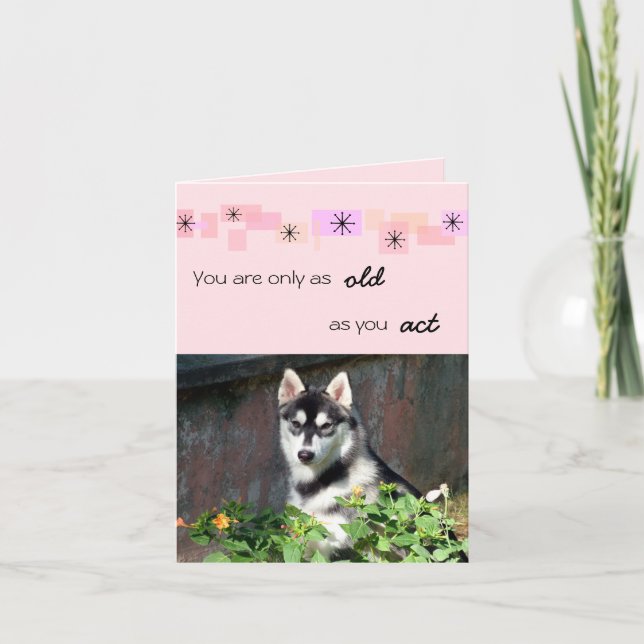 Cartão Siberian Husky Birthday Card (Frente)