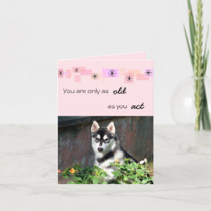 Cartão Siberian Husky Birthday Card