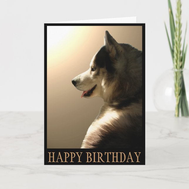 Cartão Siberian Husky Card / Alaskan Malamute Card (Frente)
