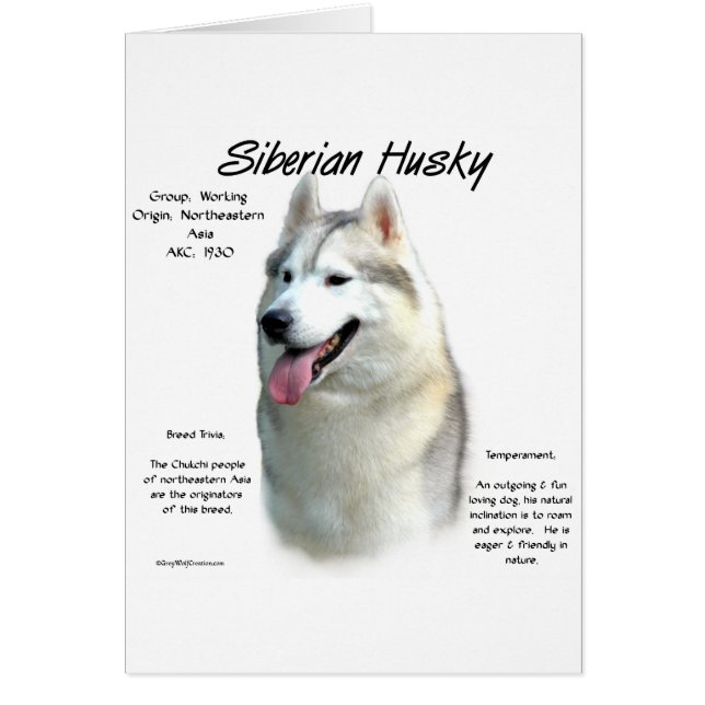 Cartão Siberian Husky History Design (Frente)